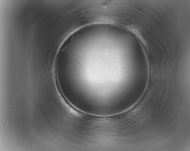 X0000073831387200608101152