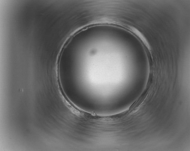 X0000073831388200608101152