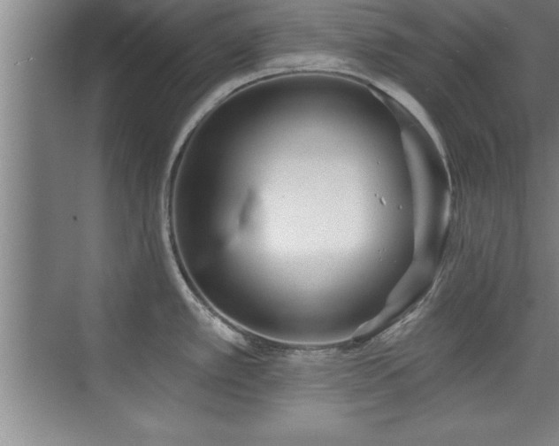 X0000073831389200608101152