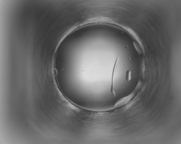 X0000073831390200608101152