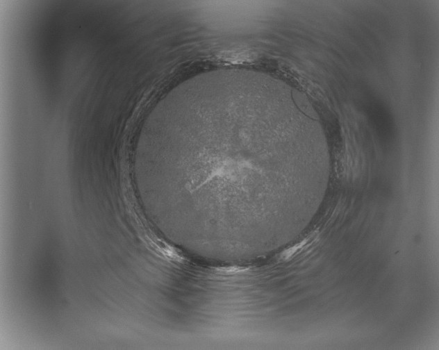 X0000073831393200608101151