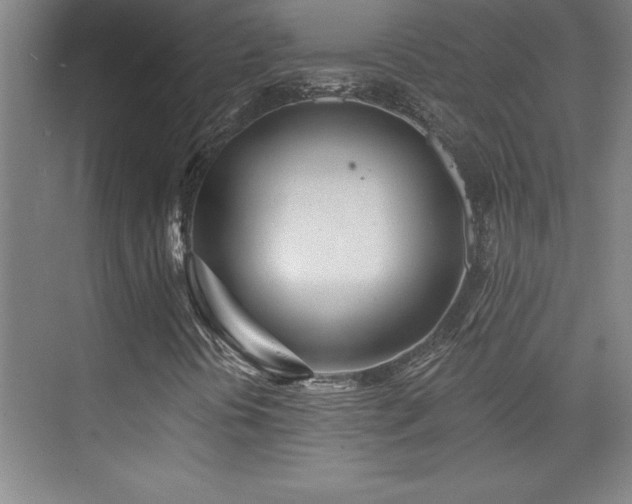 X0000073831394200608101151