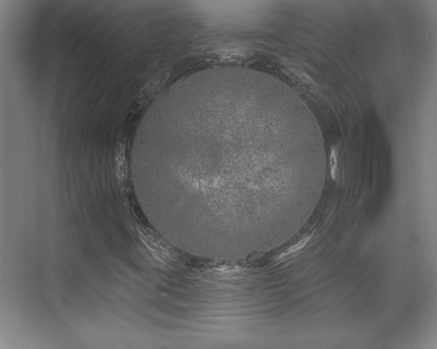 X0000073831395200608101151