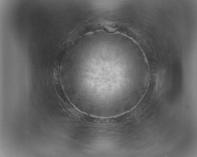 X0000073831397200608101151