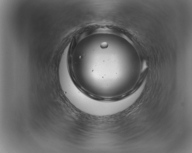 X0000073831398200608101151