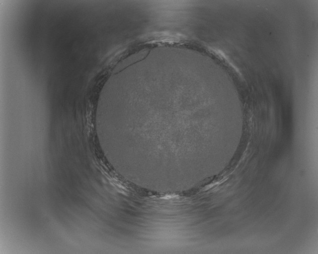 X0000073831399200608101151