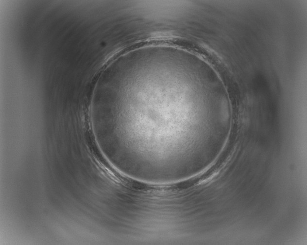 X0000073831401200608101151