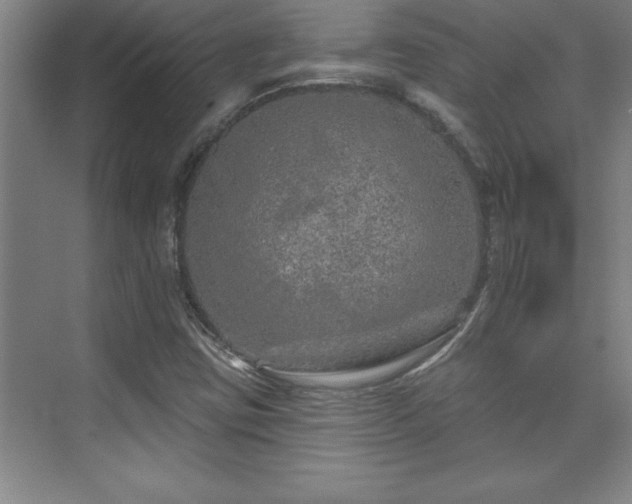 X0000073831403200608101151