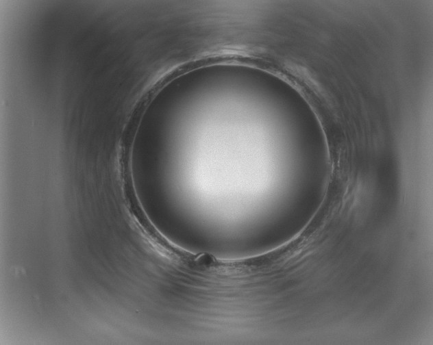 X0000073831404200608101151