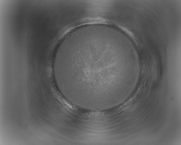 X0000073831407200608101151