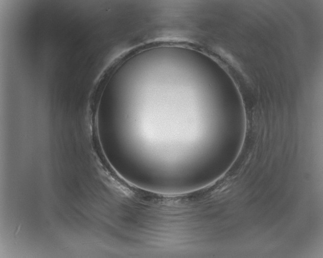 X0000073831408200608101151