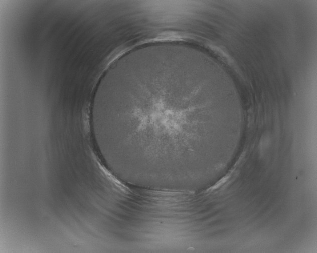 X0000073831409200608101151