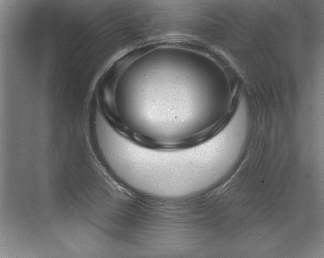 X0000073831410200608101151