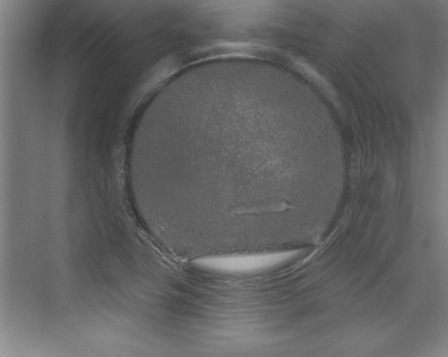 X0000073831411200608101151