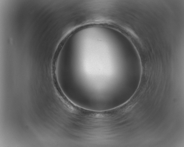 X0000073831412200608101151