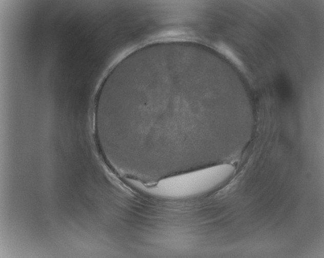 X0000073831413200608101151