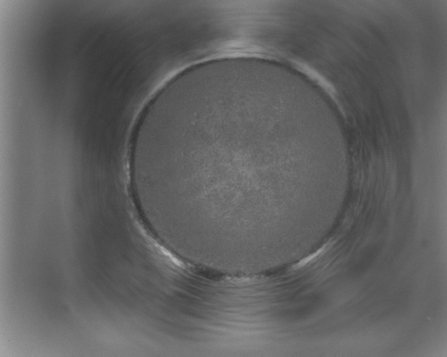 X0000073831415200608101151