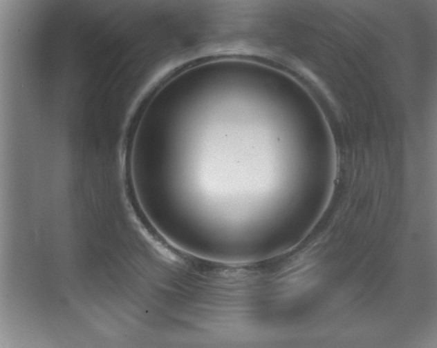 X0000073831416200608101151