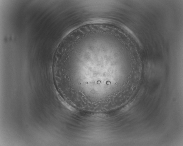 X0000073831417200608101151