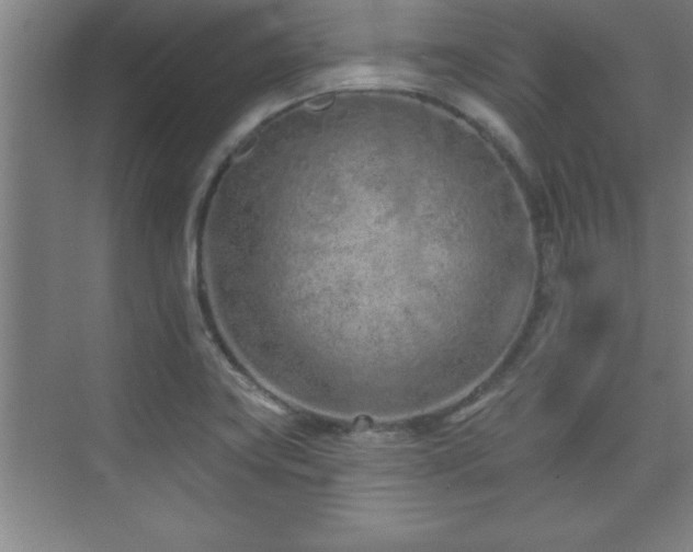 X0000073831419200608101151