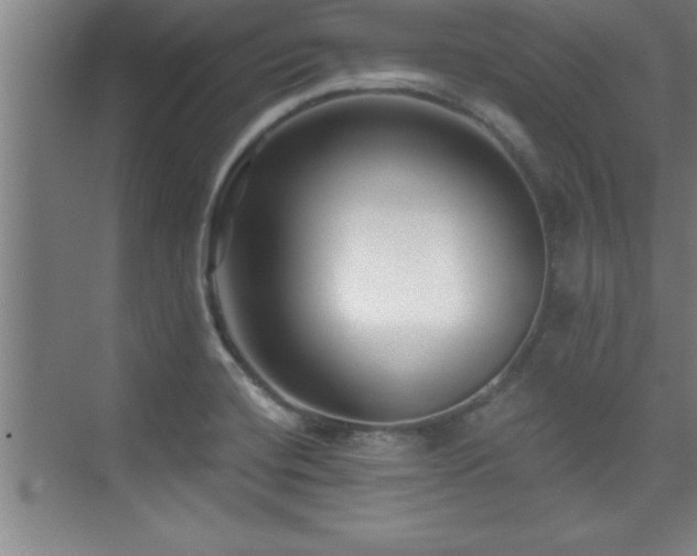 X0000073831420200608101151