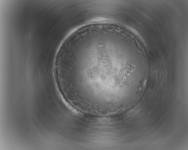 X0000073831421200608101151