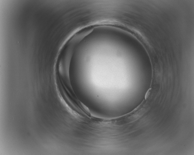 X0000073831422200608101151