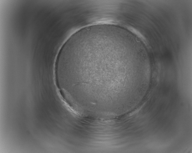 X0000073831423200608101151