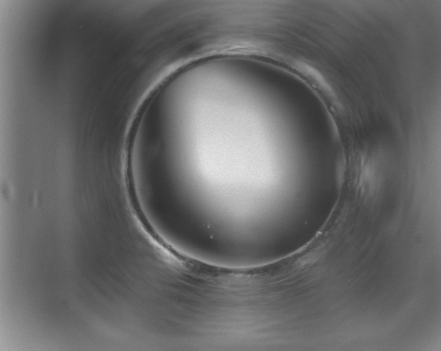 X0000073831424200608101151