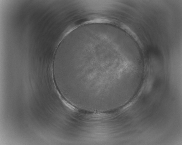 X0000073831425200608101152