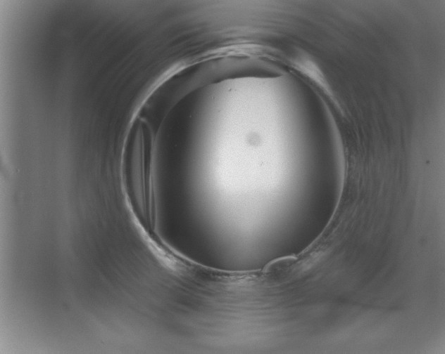 X0000073831426200608101152