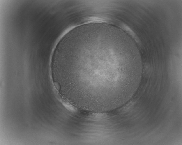 X0000073831427200608101152