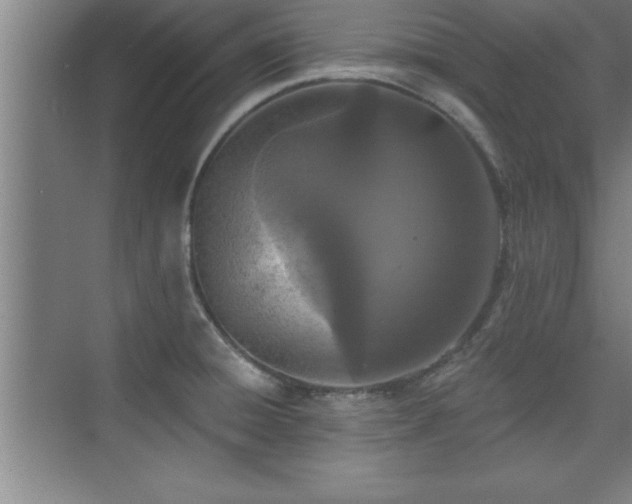 X0000073831428200608101152