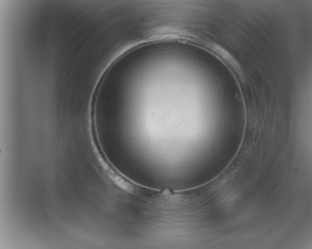 X0000073831431200608101152