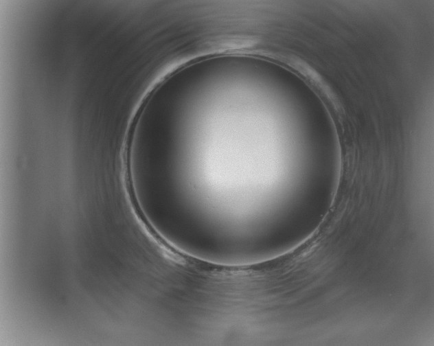 X0000073831432200608101152