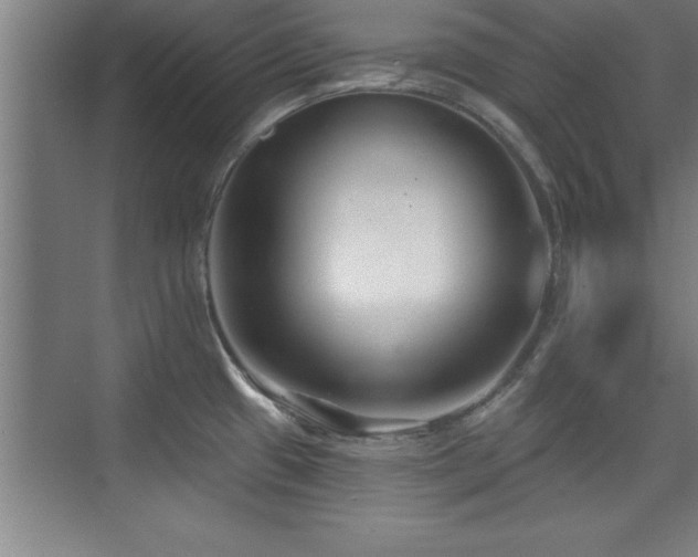 X0000073831433200608101152