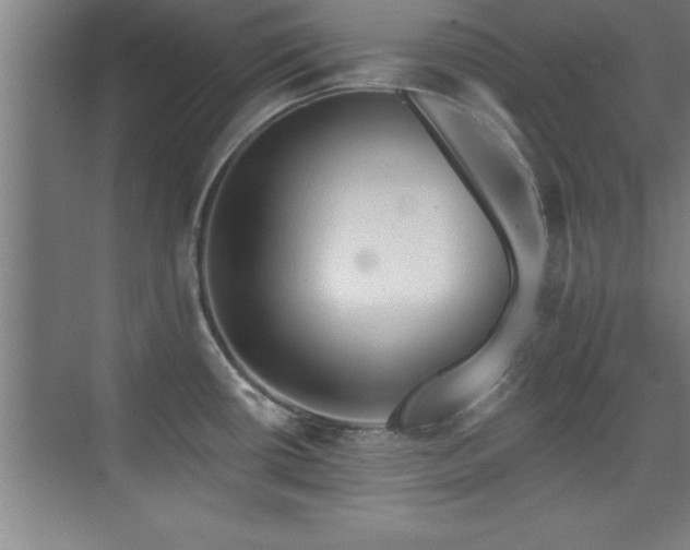 X0000073831434200608101152