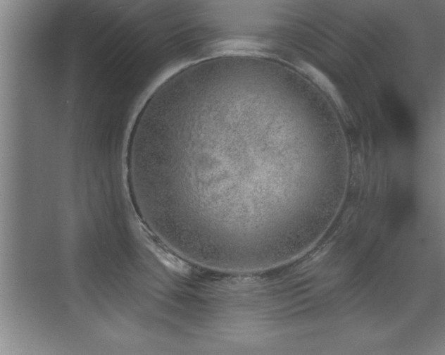 X0000073831435200608101152