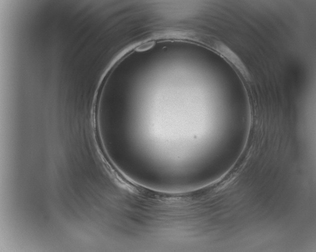 X0000073831436200608101152