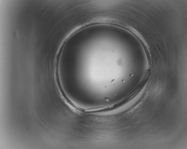 X0000073831437200608101152