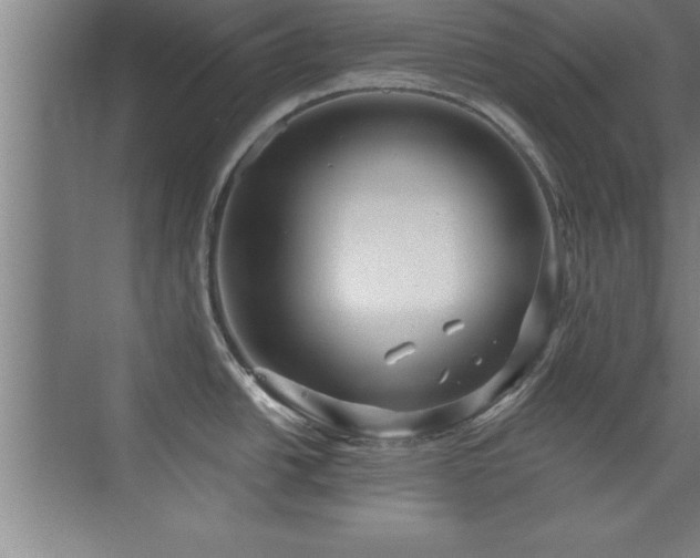 X0000073831438200608101152