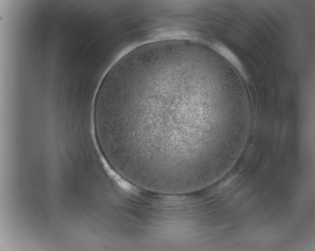 X0000073831439200608101152