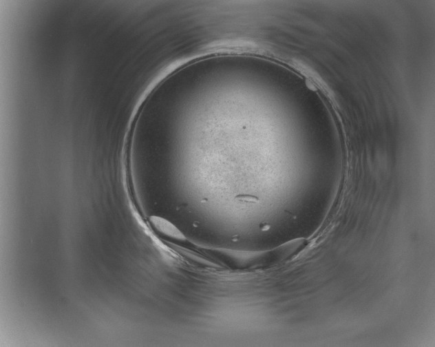 X0000073831440200608101152