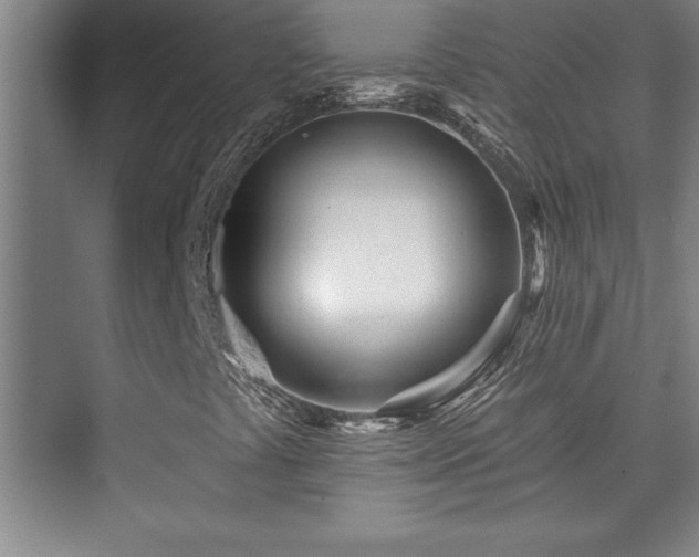 X0000073831441200608101151