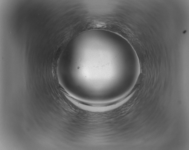 X0000073831442200608101151