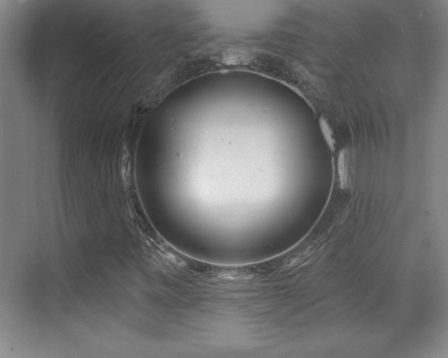 X0000073831443200608101151