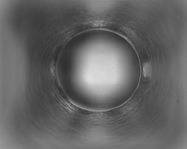 X0000073831444200608101151