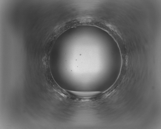 X0000073831445200608101151