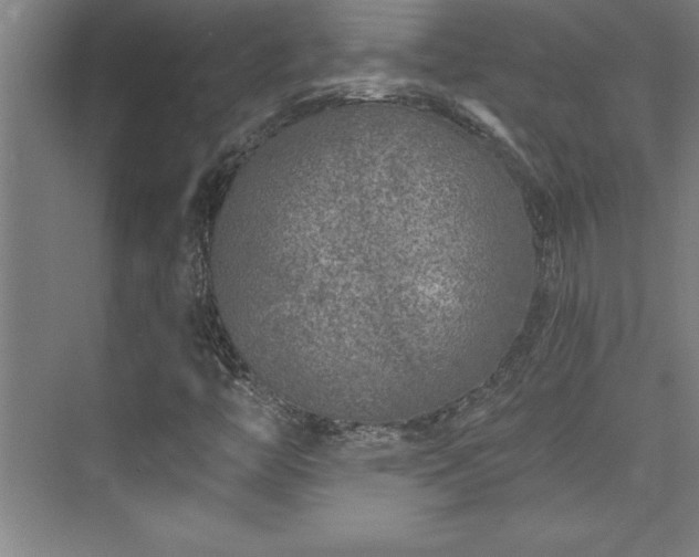 X0000073831446200608101151