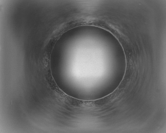 X0000073831447200608101151